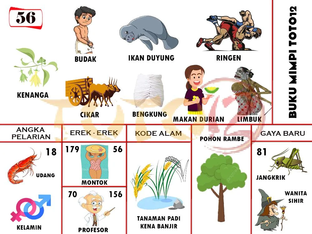 buku mimpi erek erek togel 56